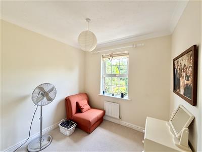 Picture 19
